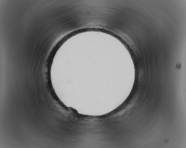 X0000101660926200808071017