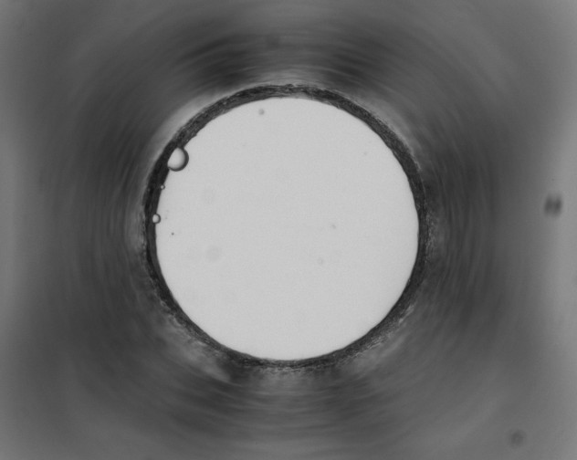 X0000101660927200808071017