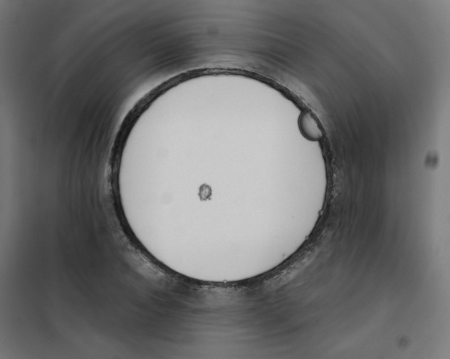 X0000101660928200808071017