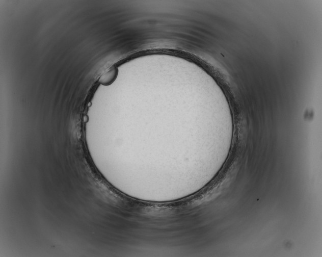 X0000101660929200808071017
