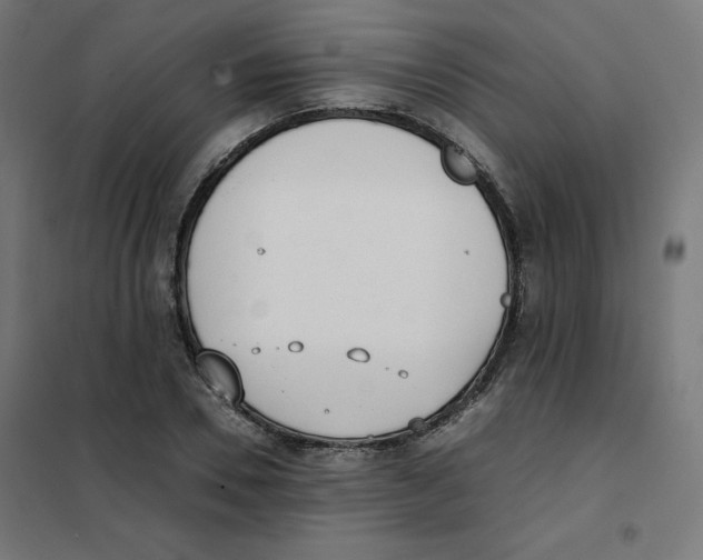 X0000101660930200808071017