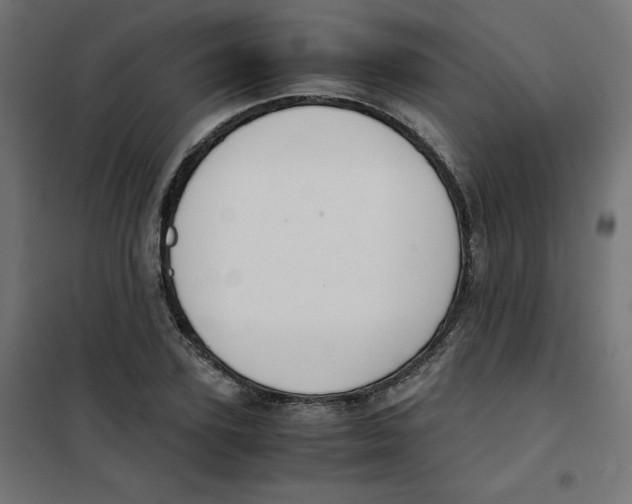 X0000101660931200808071018