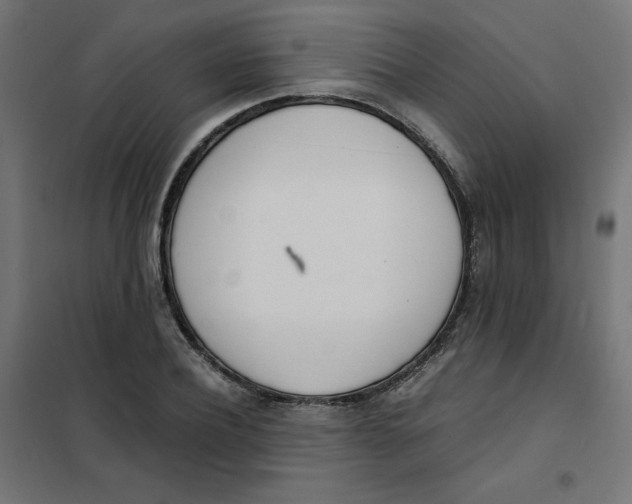 X0000101660932200808071018
