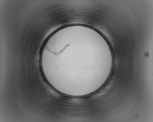 X0000101660933200808071018