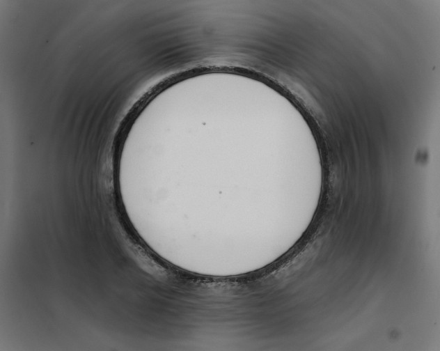 X0000101660934200808071018