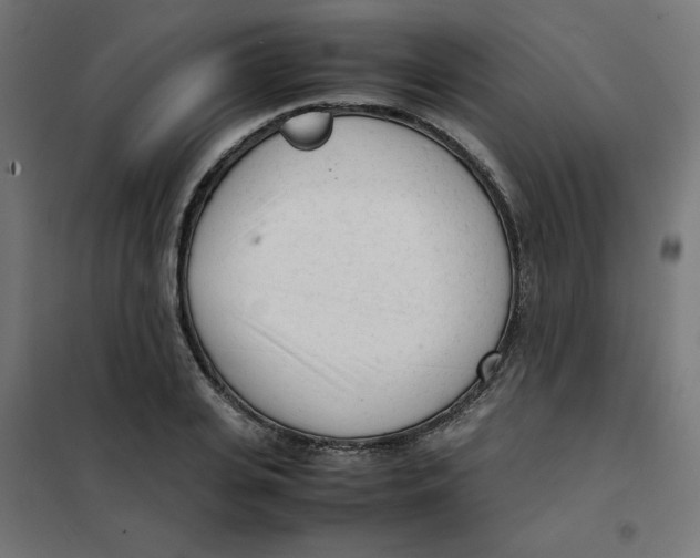 X0000101660935200808071018