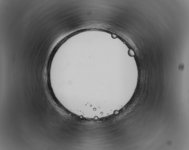 X0000101660936200808071018
