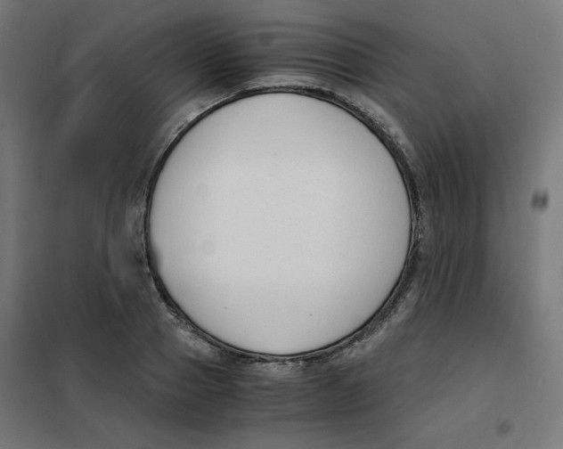 X0000101660937200808071018