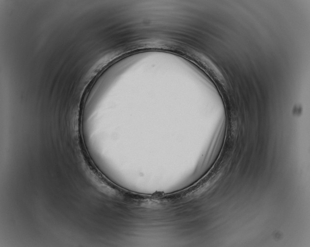 X0000101660938200808071018
