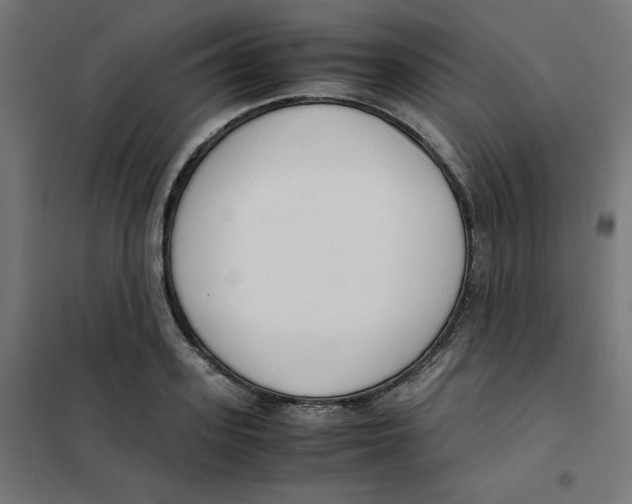 X0000101660939200808071018