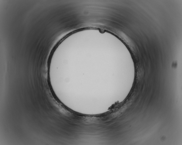 X0000101660940200808071018