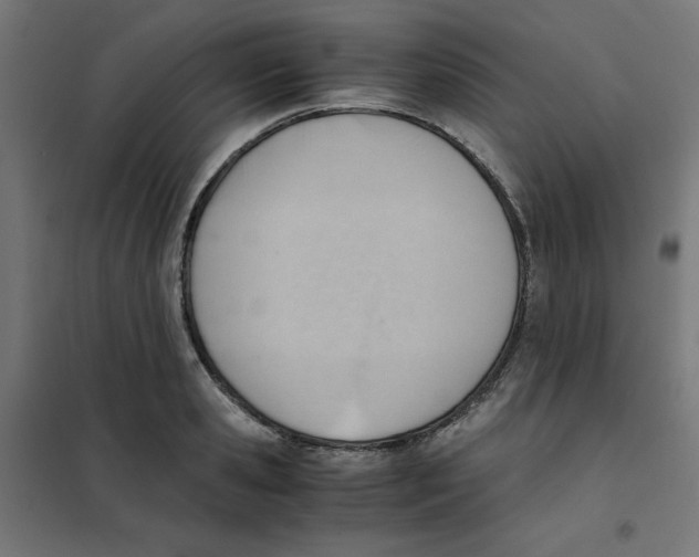 X0000101660941200808071018