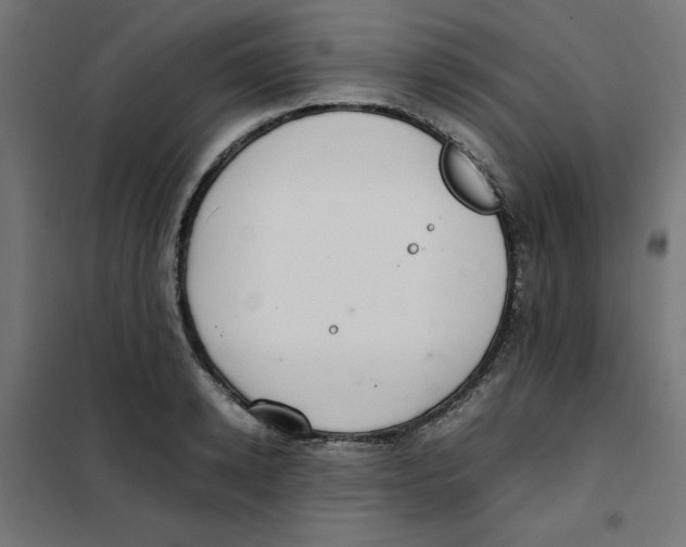 X0000101660942200808071018