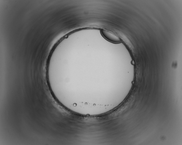 X0000101660944200808071018