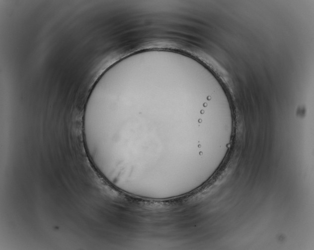 X0000101660945200808071018