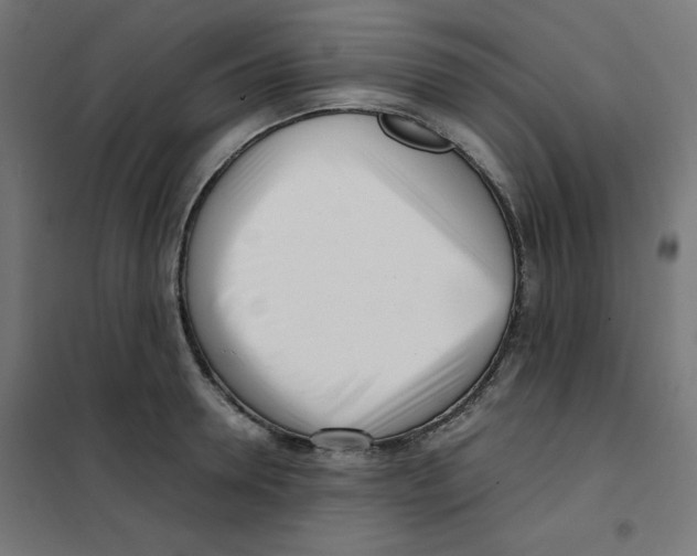 X0000101660946200808071018