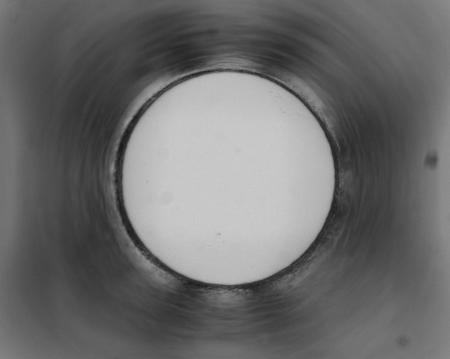 X0000101660947200808071018