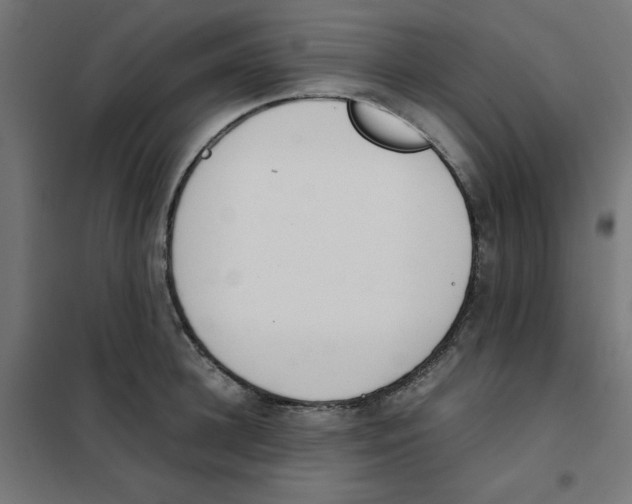 X0000101660948200808071018
