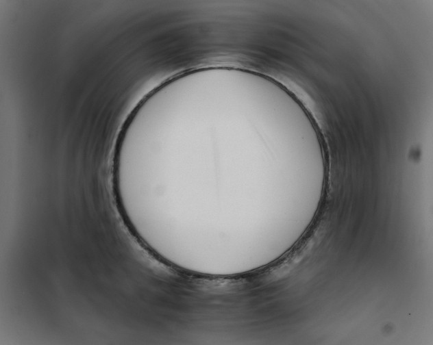 X0000101660949200808071018