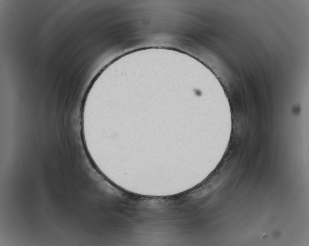X0000101660950200808071018