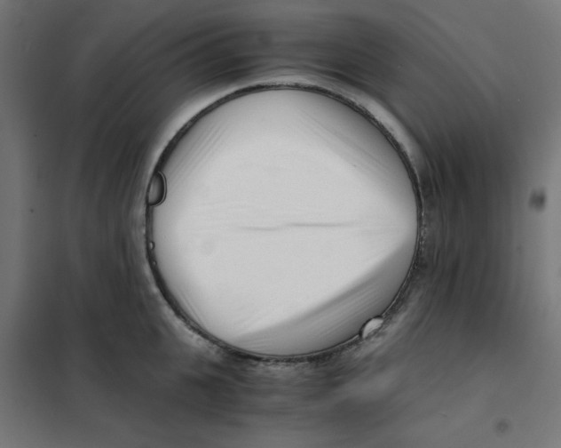 X0000101660951200808071018