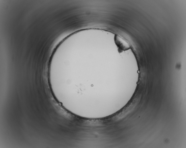 X0000101660952200808071018
