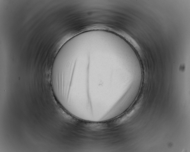 X0000101660953200808071018