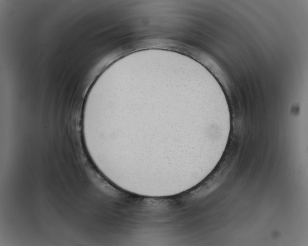 X0000101660954200808071018