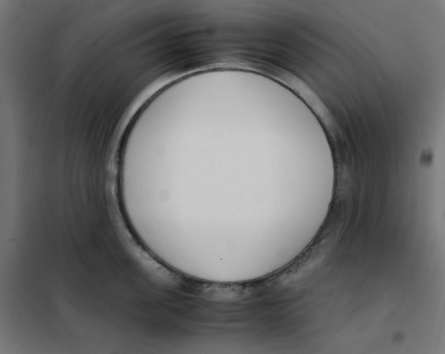 X0000101660955200808071018