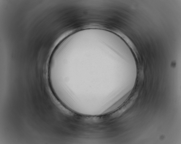 X0000101660957200808071018