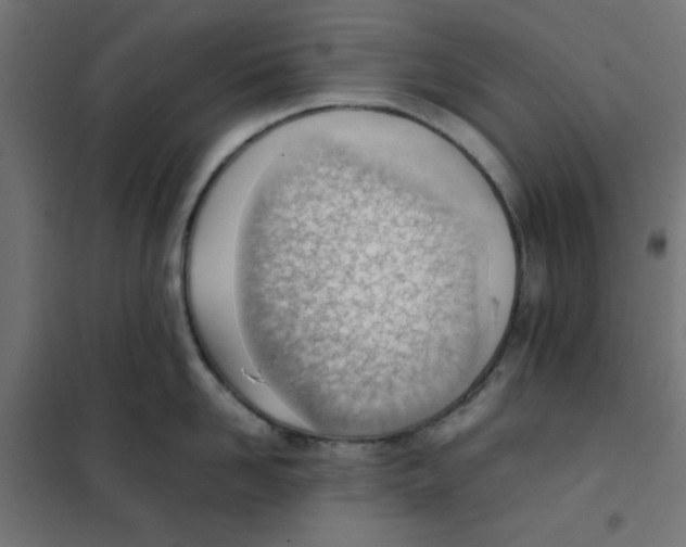 X0000101660958200808071018