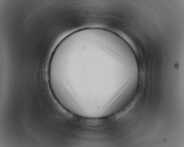 X0000101660959200808071018