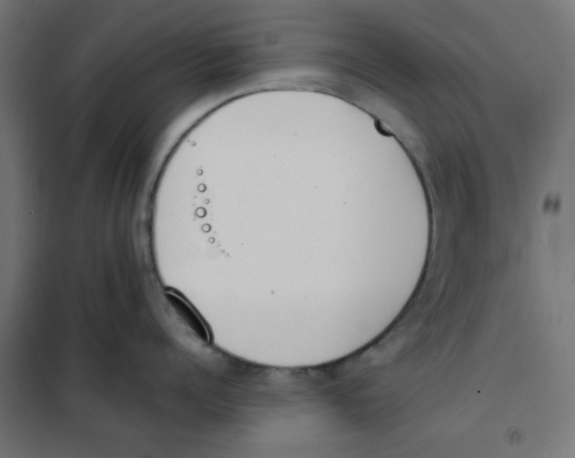 X0000101660960200808071018