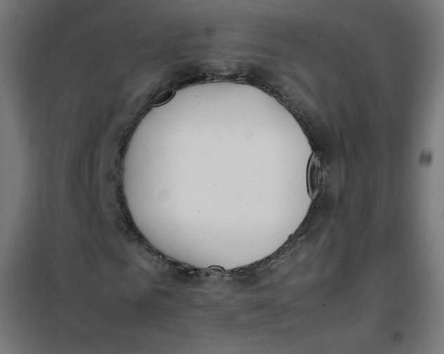 X0000101660961200808071017