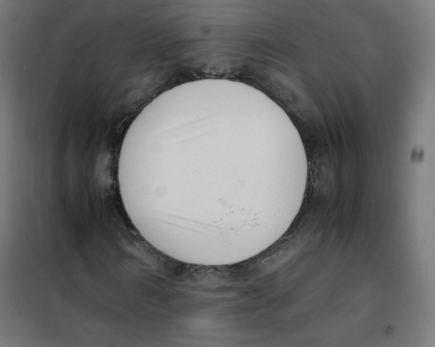 X0000101660962200808071017