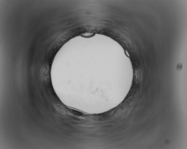 X0000101660963200808071017