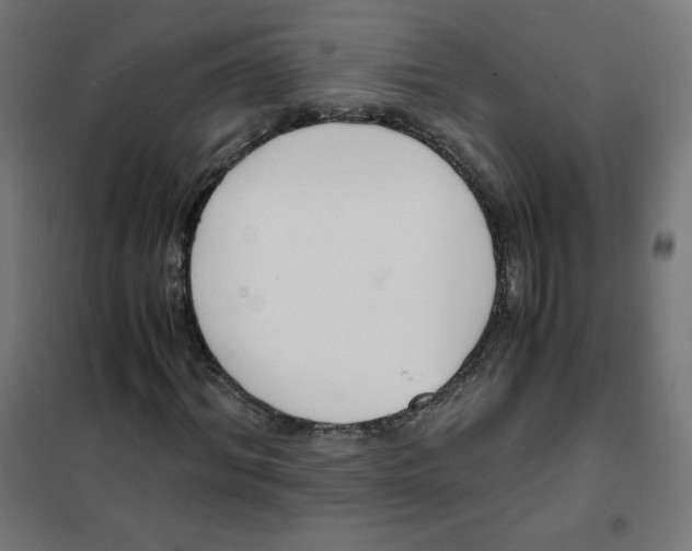 X0000101660964200808071017