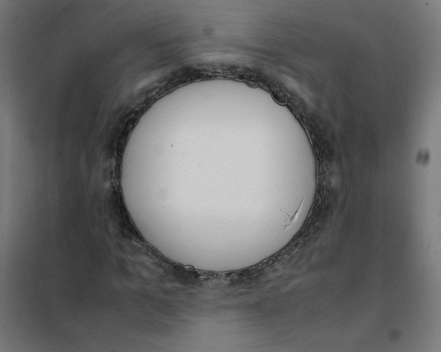 X0000101660965200808071017