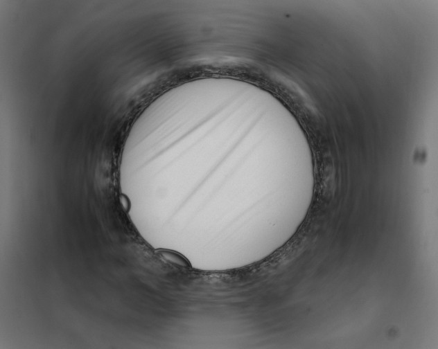 X0000101660966200808071017