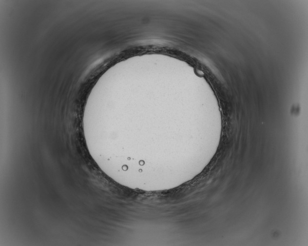 X0000101660967200808071017