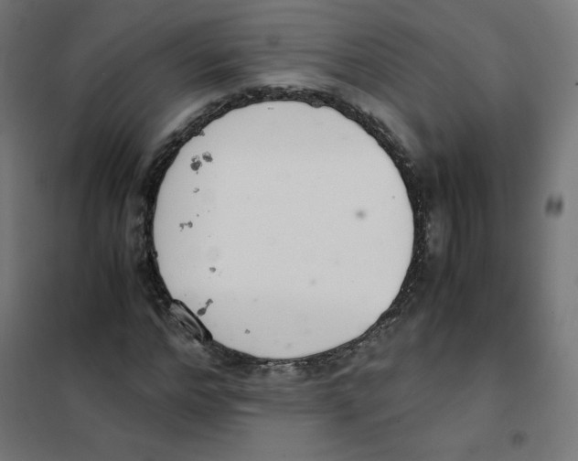 X0000101660968200808071017