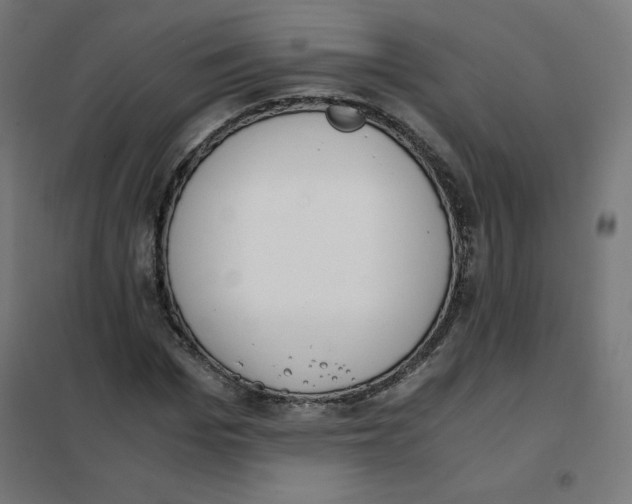 X0000101660969200808071017