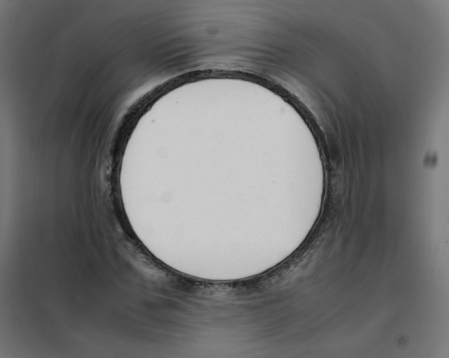 X0000101660971200808071017