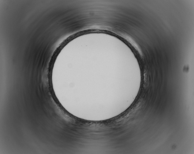X0000101660972200808071017