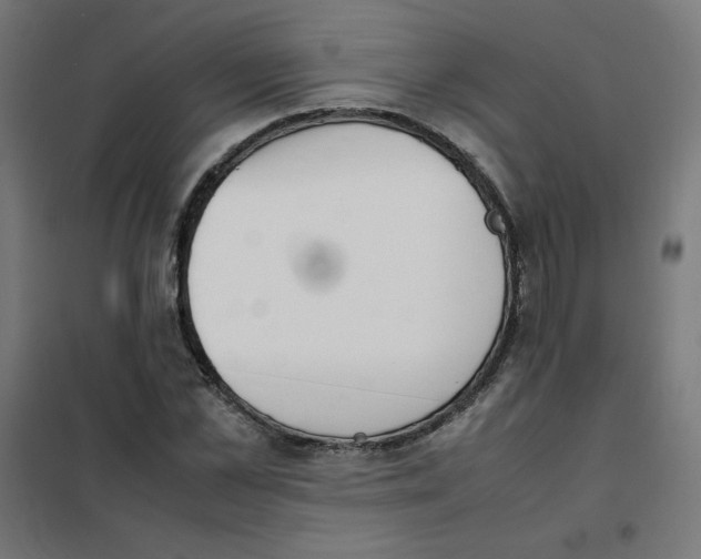 X0000101660973200808071017