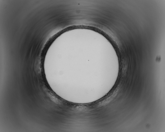 X0000101660974200808071017