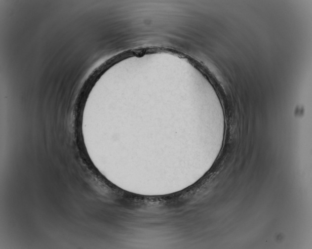 X0000101660975200808071017