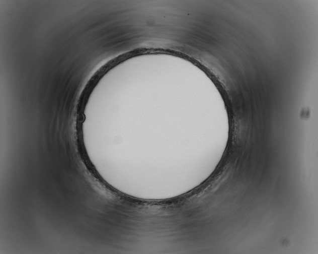 X0000101660976200808071017