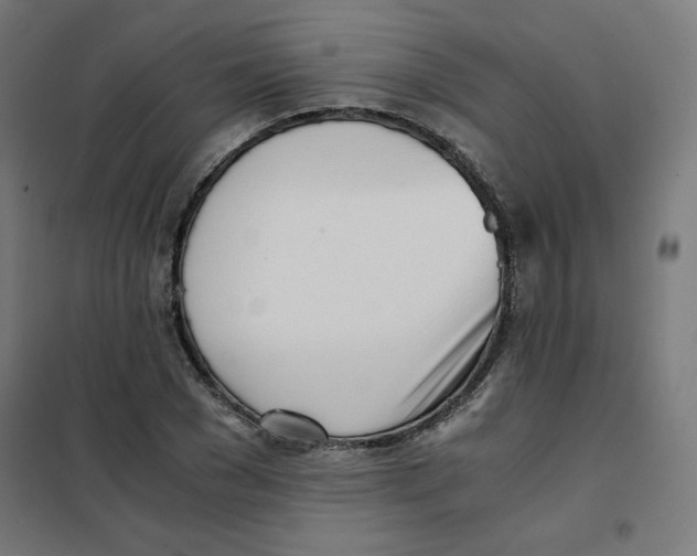 X0000101660977200808071017