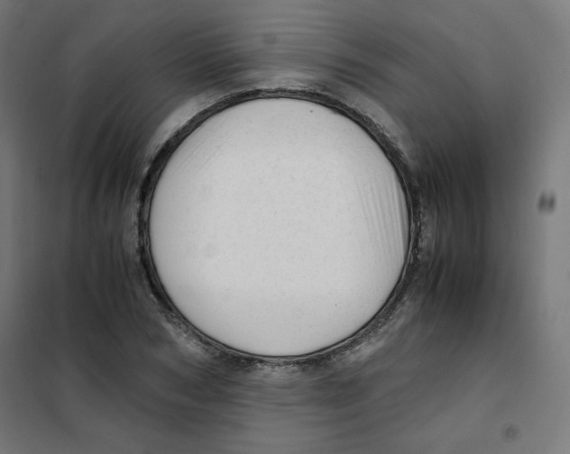 X0000101660978200808071017